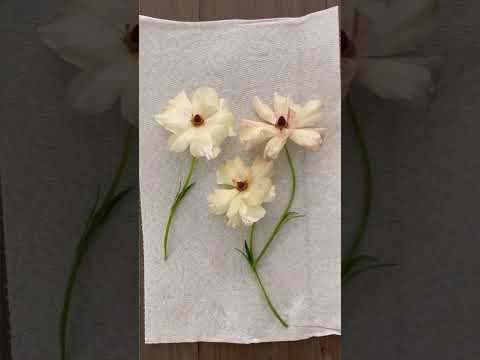 Choosing The Right Sympathy Flowers: A Considerate Guide For Each Event Petersen & Tietz Florists & Greenhouses Waterloo, Ia Florist